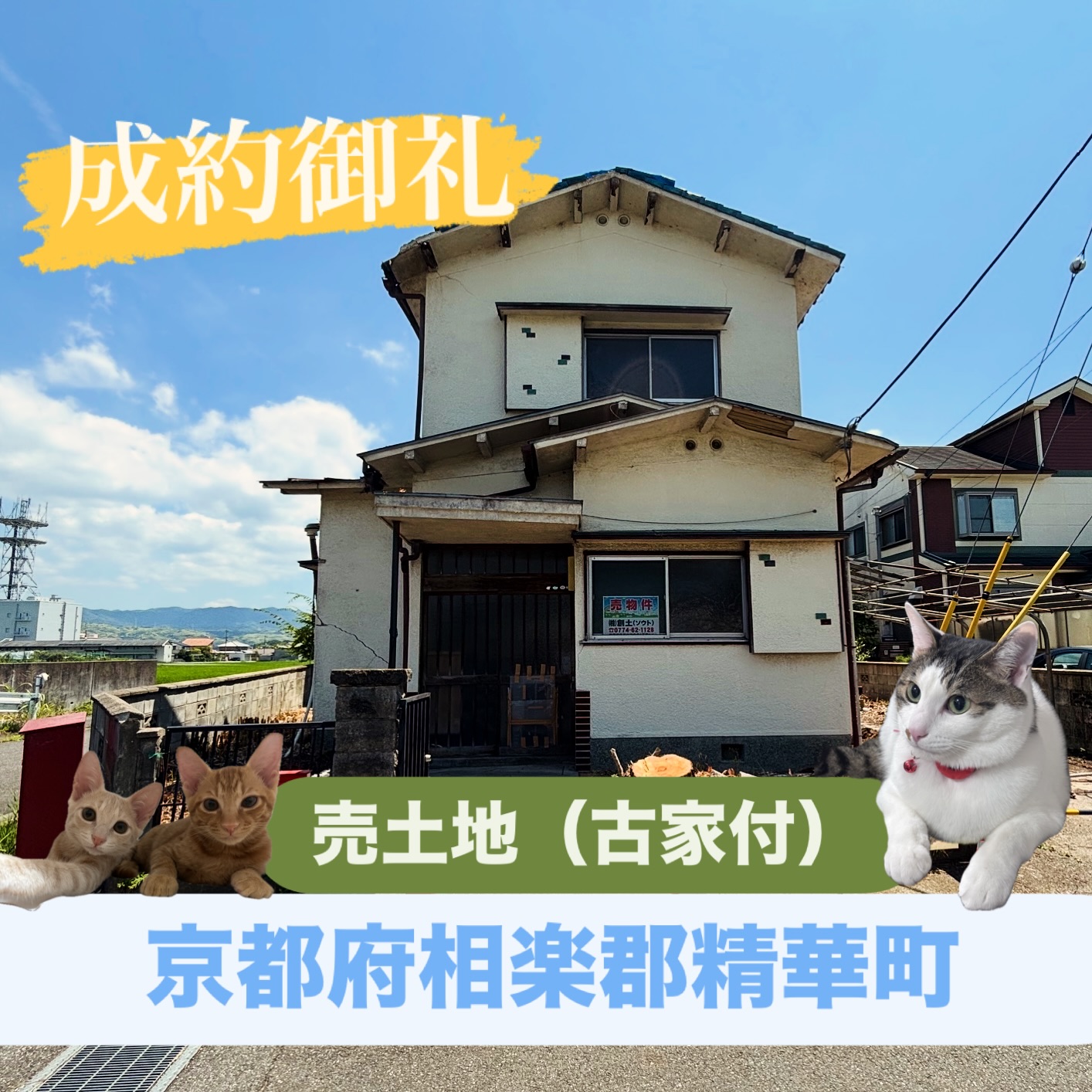 🏠成約御礼🏠

📍京都府精華町
【土地（古家付）弊社売主物件】
本日、無事に引渡しまで完了いたしました。

有難うございました🍀

=========================
不動産 売買・賃貸・管理・媒介
お気軽にお問合せください😊✨

株式会社創土(ソート）
〒610-0313
京都府京田辺市三山木中央6丁目9番地1
TEL: 0774-62-1128
FAX: 0774-62-1232

ホームページも随時更新中♪
https://www.so-to.net/
=========================

#成約御礼
#京都不動産 
#不動産京都
#不動産売買 
#不動産売買仲介
#京都の暮らし
#京田辺市
#精華町
#看板猫 
#看板猫のいる店 
#町の不動産屋さん
#kyotorealestate
#japanesehome
#overseasproperty