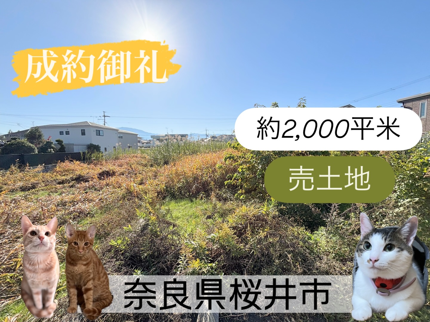 🏠成約御礼🏠

📍奈良県桜井市
【売土地（約2,000平米）】

今後10区画の分譲宅地に生まれ変わります😊
これからが楽しみな土地です🍀

=========================
不動産 売買・賃貸・管理・媒介
お気軽にお問合せください✨

株式会社創土(ソート）
〒610-0313
京都府京田辺市三山木中央6丁目9番地1
TEL: 0774-62-1128
FAX: 0774-62-1232
=========================

#成約御礼
#京都不動産 
#不動産京都
#不動産売買 
#不動産売買仲介
#京都の暮らし
#奈良の暮らし 
#京田辺市
#奈良県桜井市 
#町の不動産屋さん
#kyotorealestate
#japanesehome
#overseasproperty