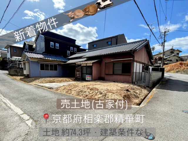 🏠新着物件（売土地）🏠

・京都府相楽郡精華町植田
・土地面積  約74.3坪
・有効宅地　約69.98坪
・建築条件なし
・祝園駅 徒歩8分、新祝園駅 徒歩9分

急行・快速停車駅が徒歩圏内の利便性の高い物件です☺️
土地売買契約（古家付）となります。
中古戸建として住居も可能です🏠

詳細はお気軽にお問合せください🍀

=========================
不動産 売買・賃貸・管理・媒介

株式会社創土(ソート）
〒610-0313
京都府京田辺市三山木中央6丁目9番地1
TEL: 0774-62-1128
FAX: 0774-62-1232

ホームページも随時更新中♪
https://soto-realestate.com/
=========================

#京都不動産 
#売土地 
#売土地情報 
#精華町
#京田辺市