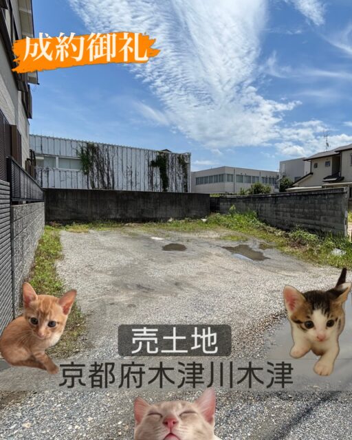 🏠成約御礼🏠

📍京都府木津川市木津

昨日、無事に引渡しまで完了いたしました。
売主様、買主様、誠にありがとうございました🍀

=========================
不動産 売買・賃貸・管理・媒介

株式会社創土(ソート）
〒610-0313
京都府京田辺市三山木中央6丁目9番地1
TEL: 0774-62-1128
FAX: 0774-62-1232

ホームページも随時更新中♪
https://soto-realestate.com/
=========================

#成約御礼
#京都の暮らし
#木津川市 
#京田辺市
#町の不動産屋さん