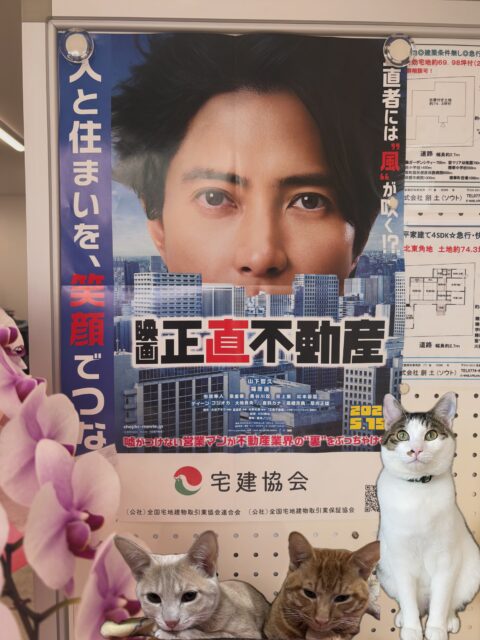 トップページ 先日の休日に『正直不動産』を観てきました🎬✨
宅建協会とのタイアップでポスターが届いてから楽しみにしていた映画。
不動産業に携わる者として楽しみながら勉強にもなる映画でした。
これからも地域に根ざした”正直な不動産屋さん”を目指して頑張ってまいります😊
#正直不動産
#山p
#宅建協会
#京都不動産
#町の不動産屋さん